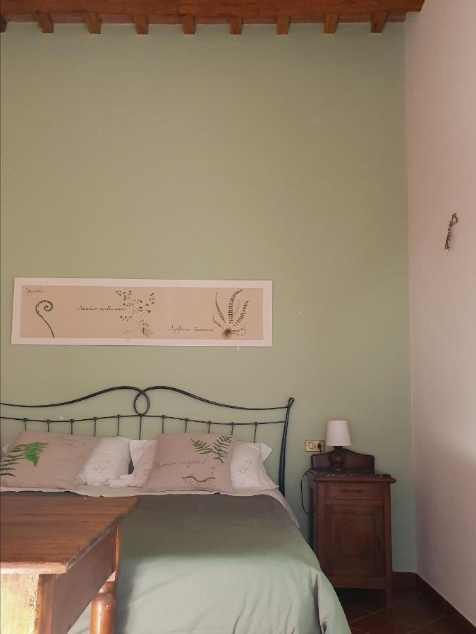 Pietra d'Acqua B&B Buti Esterno foto